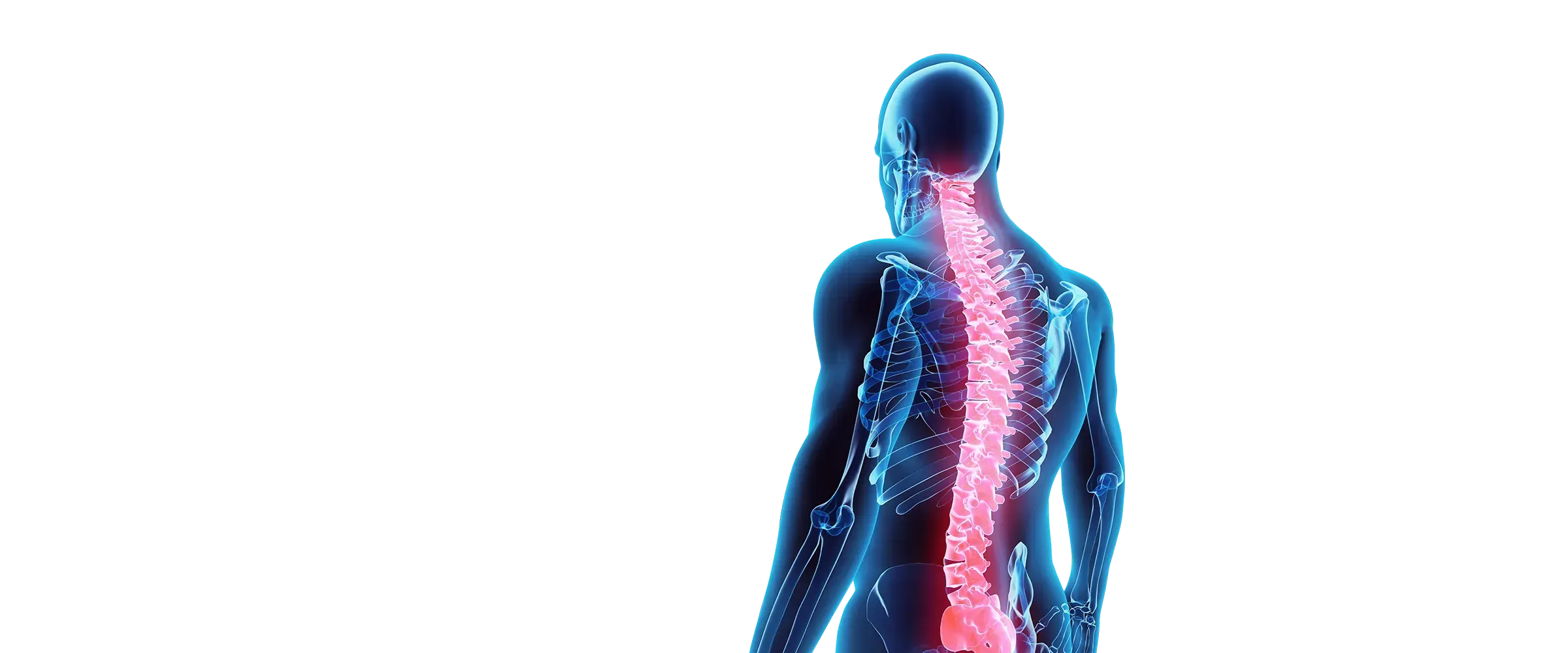 Human anatomy showing pain regions