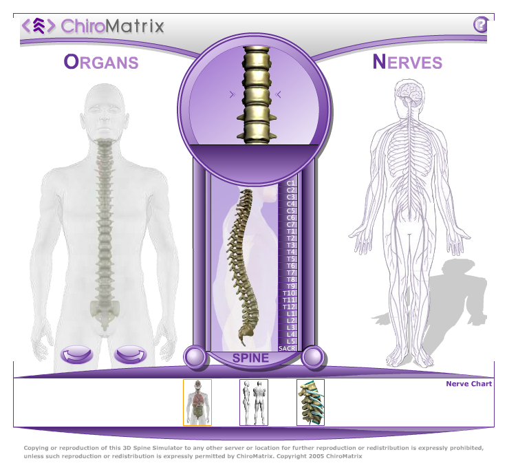 Spine перевод